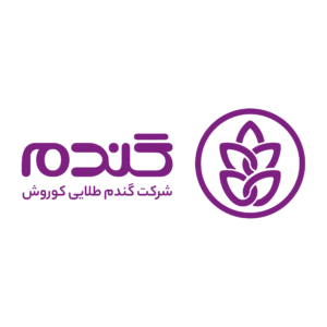 gandom-991003-