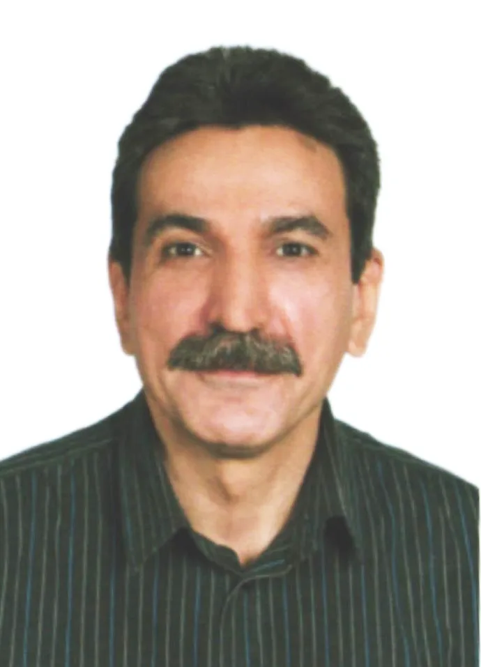 آقای مهندس محمدی