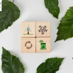 فرانچایز سبز