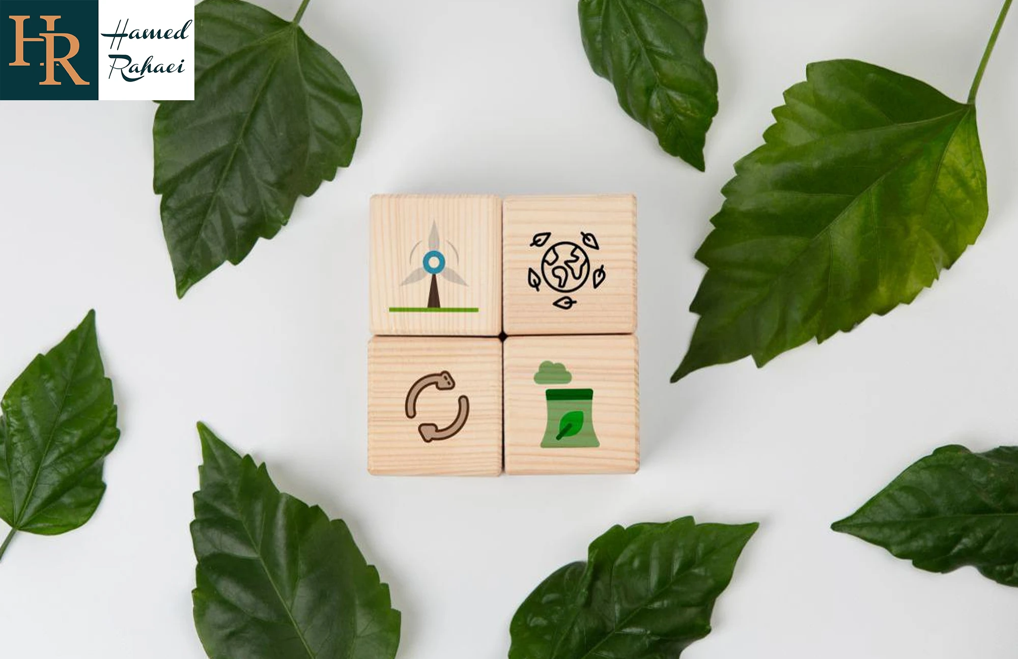 فرانچایز سبز